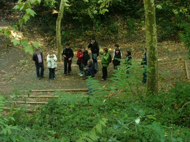 En el bosque con el grupo.JPG